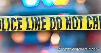 No injuries, fatalities reported after small plane crash in Busse Woods