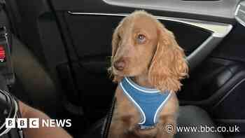 Avon and Somerset Police concern as drink-drive arrests increase