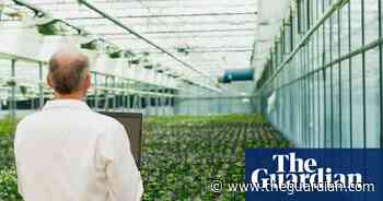 What does rejoining EU’s Horizon scheme mean for UK research and innovation?