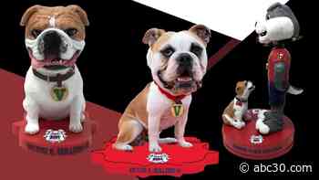 New bobbleheads featuring Fresno State mascots now on sale