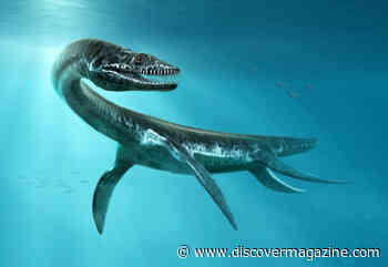 5 of the Most Interesting Prehistoric Marine Reptiles
