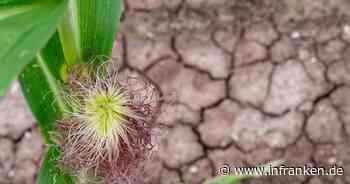 Heizungsgesetz: Fachleute sehen Klimaziele in Gefahr