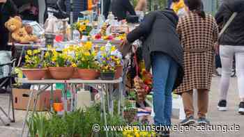 Es ist wieder Großflohmarkt im Wolfsburger Allerpark