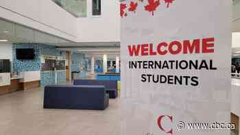 Minister, advocates say they fear international students will be blamed for housing crisis