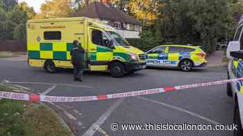 Masefield Avenue, Stanmore stabbing: Man charged with murder