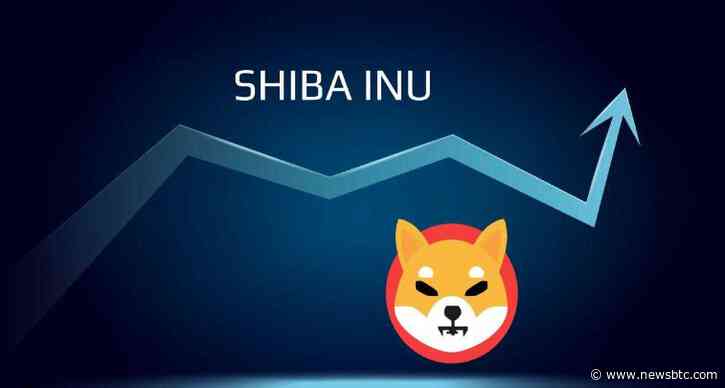 Shiba Inu Tallies 77% Accumulation By Major Investors – Good For SHIB Price?