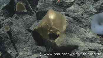 Mysteriöses "goldenes Ei" vom Meeresgrund geborgen
