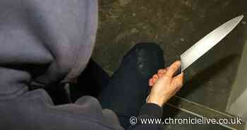 Schools where children as young as seven have been reported with knives in the North East