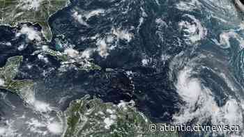 Is Hurricane Lee headed for Canada? The 'spaghetti models' can be misleading: expert