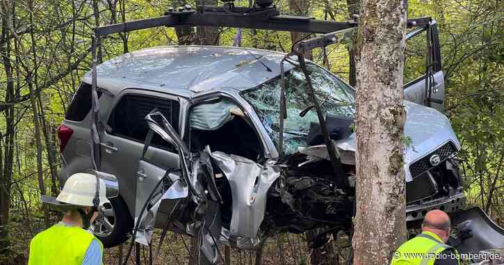 Frau fährt mit Auto gegen Baum und verletzt ihre Kinder