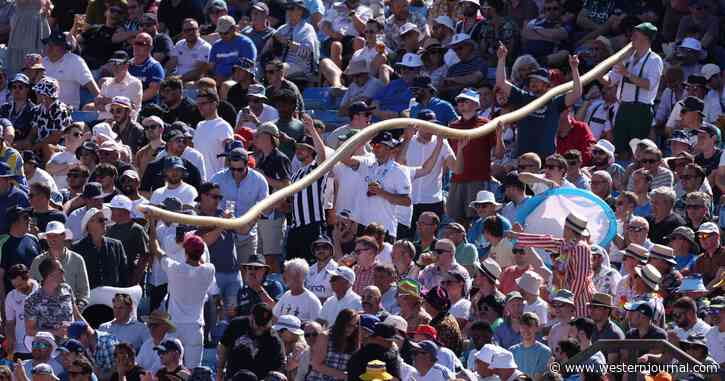 One NFL Team's Fans Far Outpace All Others for Drinking Most Game-Day Beer: Study