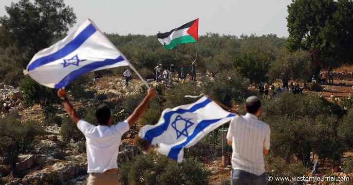 Op-Ed: The Palestinians Set Israel's Own System Against Itself