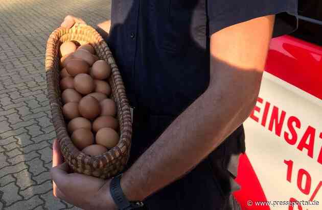 FW Celle: Feuerwehrleute erhalten Eier zum Dank - "Das erleben wir nicht jeden Tag!"
