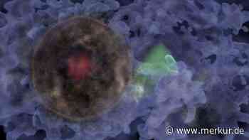 Forschungsteam entdeckt gigantisches kosmisches Fossil