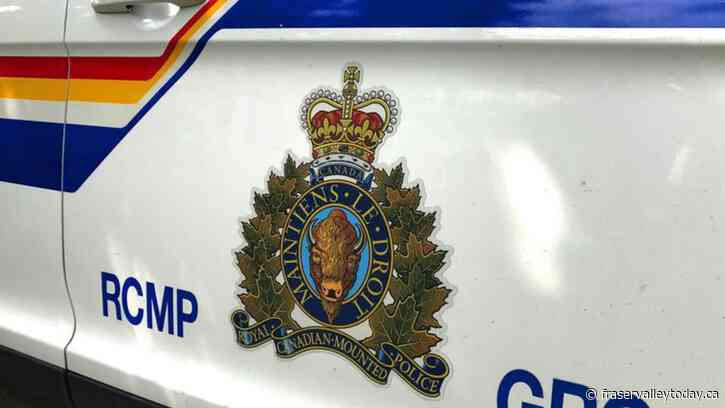 Coquitlam RCMP arrest assault suspect
