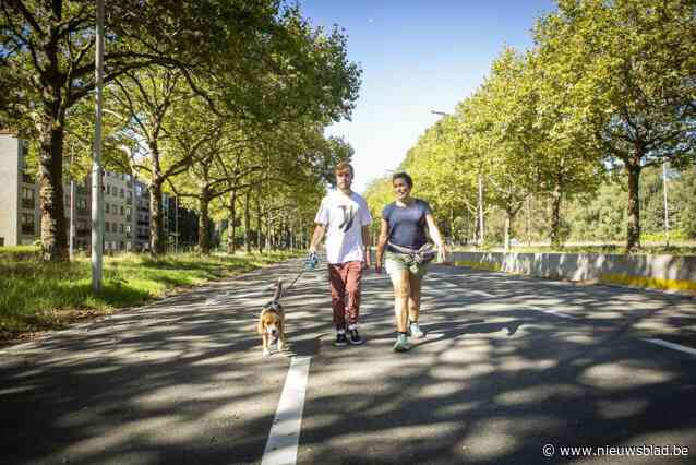 BUURTREPORTAGE. Linkeroever verandert razendsnel: “Files worden nu gecreëerd, niet opgelost”