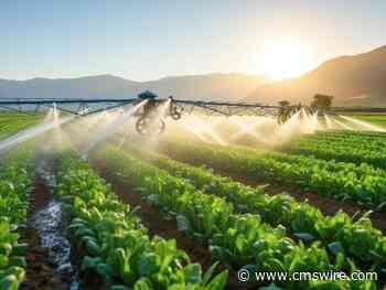 AI in Decision Making: The Revitalization of Voice of the Customer