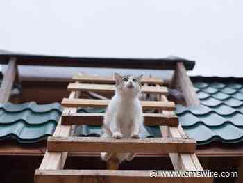 Climb the Career Ladder With Customer Engagement Mastery