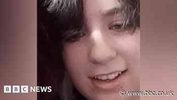 Barnsley trans teen's death prompts mental health review call