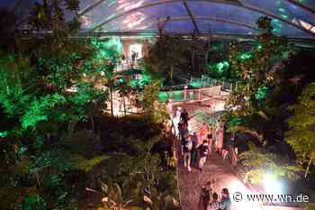 Feuershow, Live-Musik und außergewöhnliche Einblicke