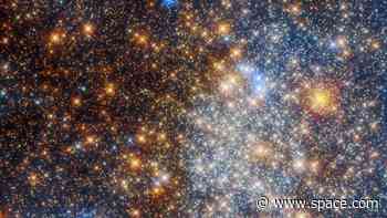 Globular cluster glitters in stunning new Hubble photo