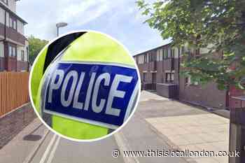 Westcroft Close, Cricklewood murder: Woman arrested