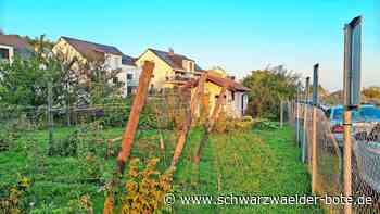 Ostelsheimer Verein: Kommt der Zug, schrumpft der Garten