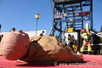 Kraft, Ausdauer und Koordination bei Fire-Fit-EM gefragt