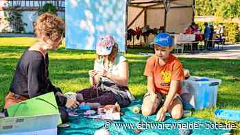 Jugendtreff Wildberg: Aus Waldschätzen werden Ökosysteme