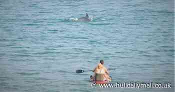 Beachgoers not the only ones enjoying the heatwave on East Yorkshire coast