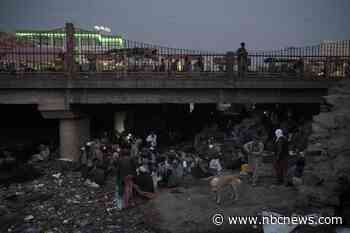 Afghanistan is the fastest-growing maker of methamphetamine, U.N. says