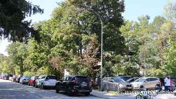 Kommt nun doch ein Parkhaus? Märchenwald-Chef spricht über seine Pläne