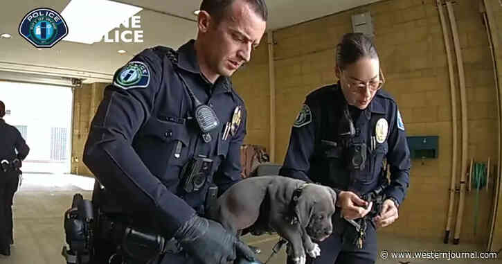 Puppy Overdoses After Getting Into Owner's Fentanyl Stash, Police Officers Know Exactly What to Do
