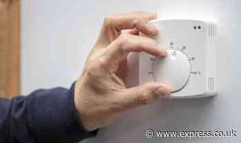 Energy expert shares ‘best’ tips to knock ‘hundreds’ off energy bill in time for winter