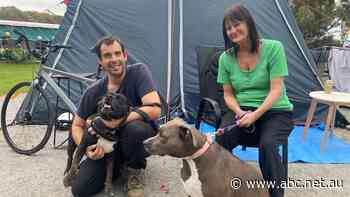 There are 40 vacant houses nearby, so why is this employed 34yo living in a tent with his mum?