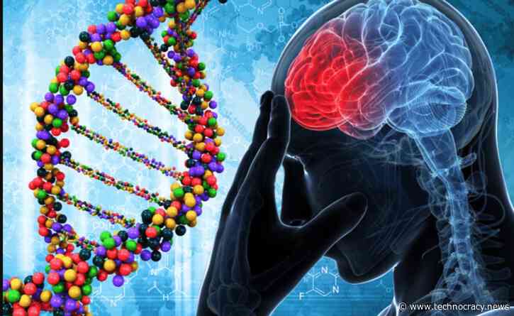 Scientists Re-Engineer The Brain To Alter Human Addiction