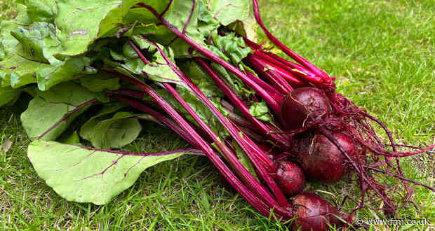 ESS partners with ‘The Artisan Grower’