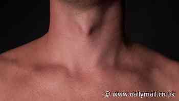 Necks appeal? Perceptions of a man's fathering skills is affected by the size of his neck, researchers find