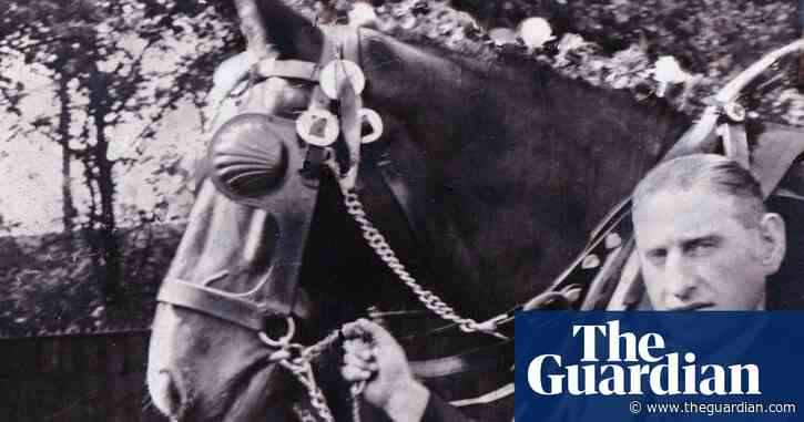The pet I’ll never forget: Tony the carthorse shared our breakfasts – and our war with the Nazis