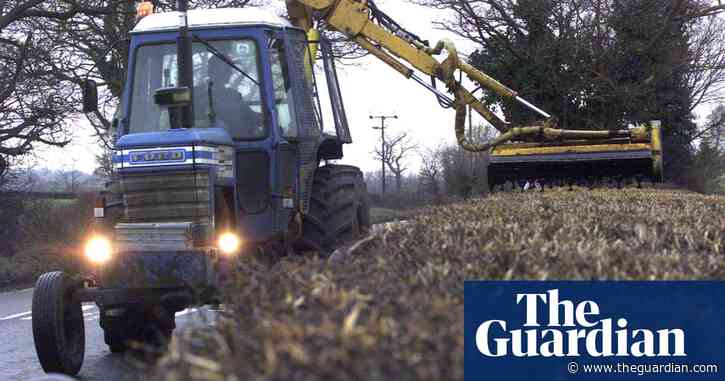 Spare that hedgerow and save our wildlife
