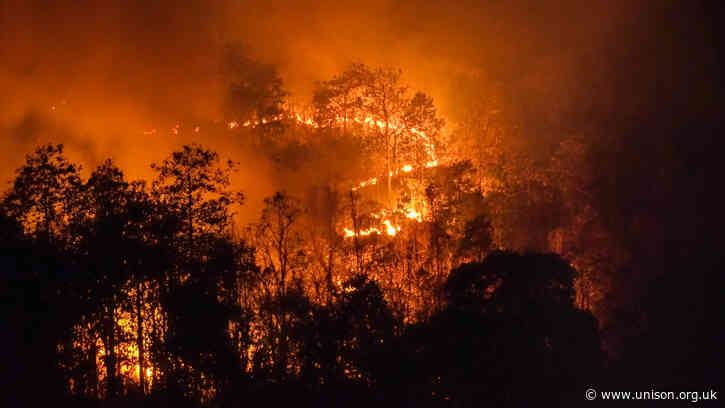 Top 5 ways to help planet Earth this week