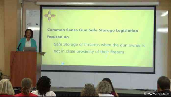 Representative Pamelya Herndon tours New Mexico to raise awareness for Bennie's Law