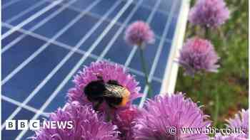Urban oases combine roof gardens and solar panels