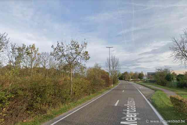 Ingrijpende werken aan Meerdaalboslaan bijna achter de rug