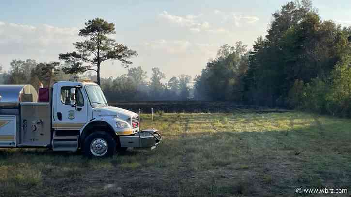 Firefighters control grass fire off LA-42 in Prairieville
