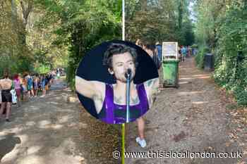 Harry Styles among swimmers to enjoy Hampstead ponds