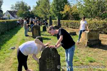 Junge Israelis säubern jüdische Grabsteine in Halle