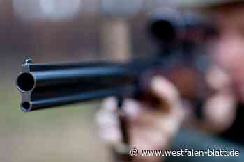 Schüsse im Stadtpark erschrecken Hundehalterin: Was es damit auf sich hat