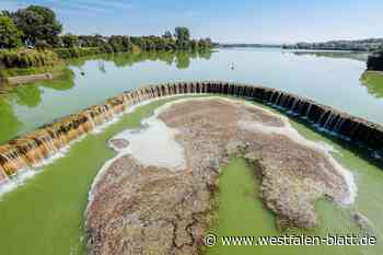 Es grünt so grün: Weiter Blaualgen-Alarm am Lippesee und Tallesee