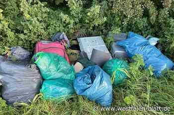 Illegale Entsorgung: Stadt Bad Wünnenberg setzt Belohnung aus